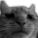GatoGrey