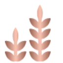 foc
