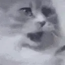 GibijiPunch GibijiPunch
