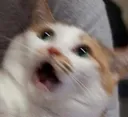 AAAAAAAAAAAHHHHHHHHHHHHHHHHH