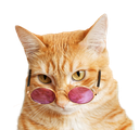 sexylibrariancat