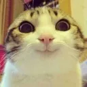 yes