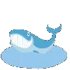 whale whale