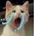 nooooo