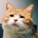 sad