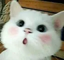 oooooh