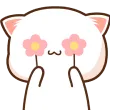 z_mbg_shy