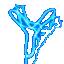Y_