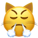 triumphkitty