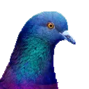 Pigeon_Techland Pigeon_Techland