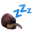 mursuZzz
