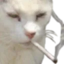 suu suu