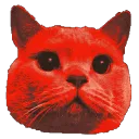 feeliNANI