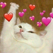 uwu Discord emoji
