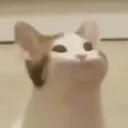 Happykitty happykitty Discord Emoji