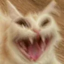 retard_cat