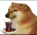 tea_doge Discord Emoji