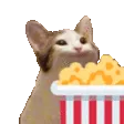 PopPopcorn PopPopcorn