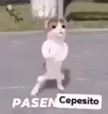 eh