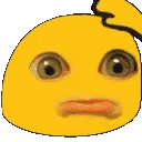 sadotter