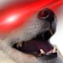 OASIS_dogeevilsuper