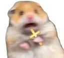 OASIS_scaredhamster