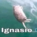 ignasio