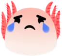 axocry