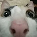 emoji_49
