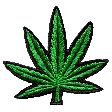 weed