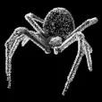 pider