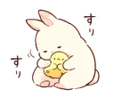 duckbunny