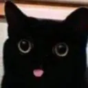 Blackcat1 Discord Emoji