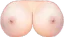 boobs