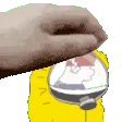 petcyberpkmd