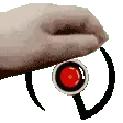 pethal_pkmd