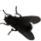 5530_fly