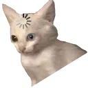 8546_loading_cat_meme_2