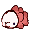 SNOOOM