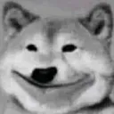 __
