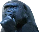 7434apethink
