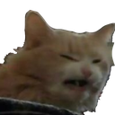 3CattoDisgusted Discord emoji