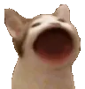 catpop