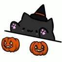 w_spookybongocat