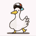 ShubaDuck