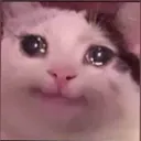 catcri