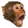 PogChimp