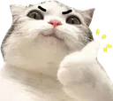 NiceCattoK NiceCattoK