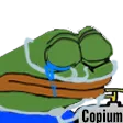 Pepecope pepeCOPE Discord Emoji