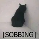kittysob